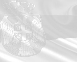Донета и јавно објављена пресуда у кривичном поступку који се води против оптуженог Дејана Mилутиновића и других (предмет „Ања Граховац“)